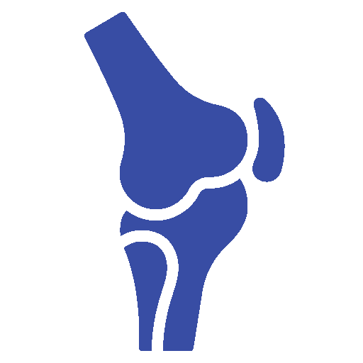 أيقونة تخصص عظام